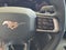 2026 Ford Mustang SW