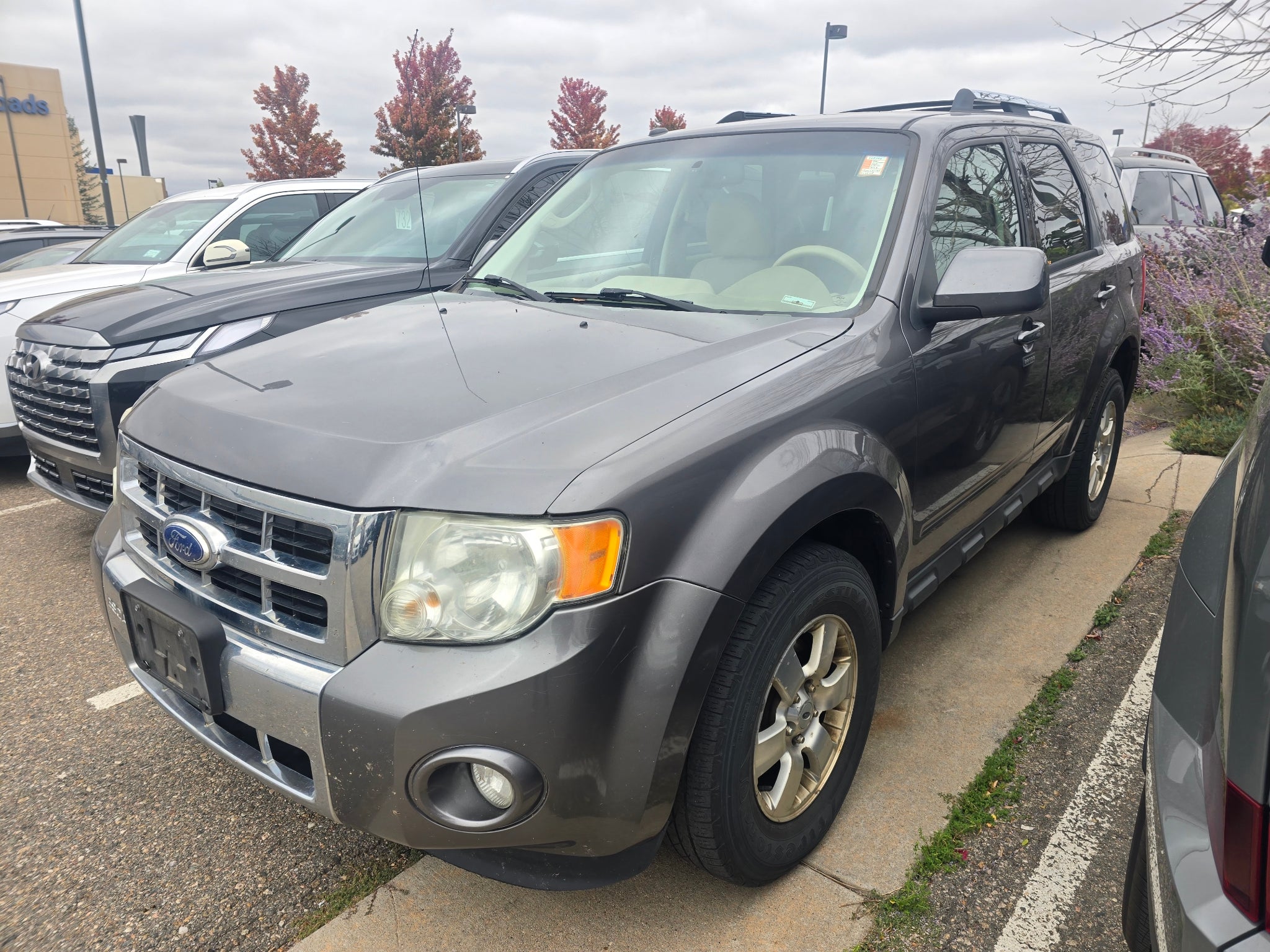 2011 Ford Escape Limited