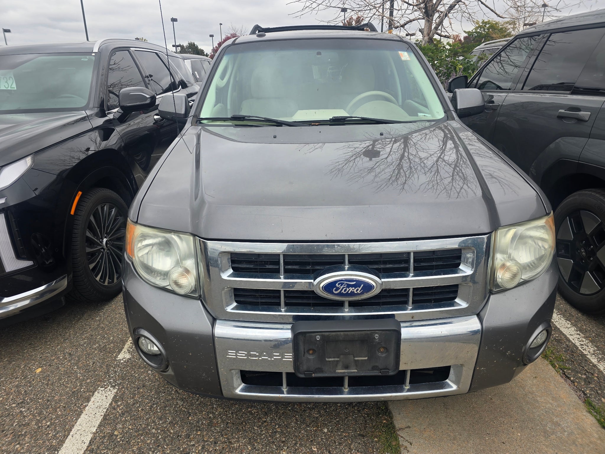 2011 Ford Escape Limited