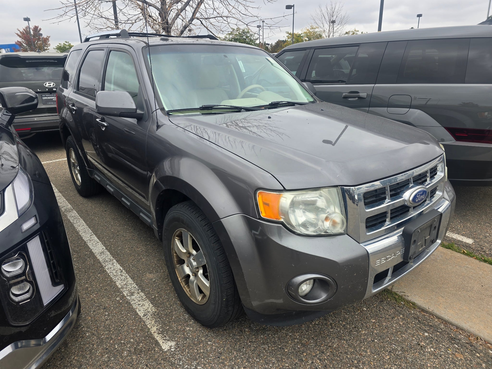 2011 Ford Escape Limited