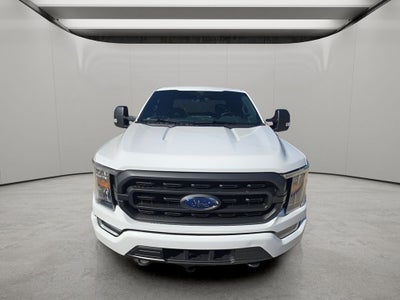 2021 Ford F-150 Base