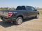 2013 Ford F-150 Platinum