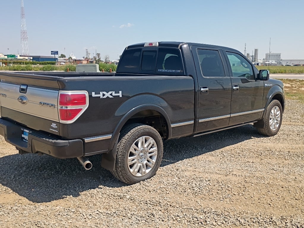 2013 Ford F-150 Platinum