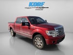 2014 Ford F-150 Platinum