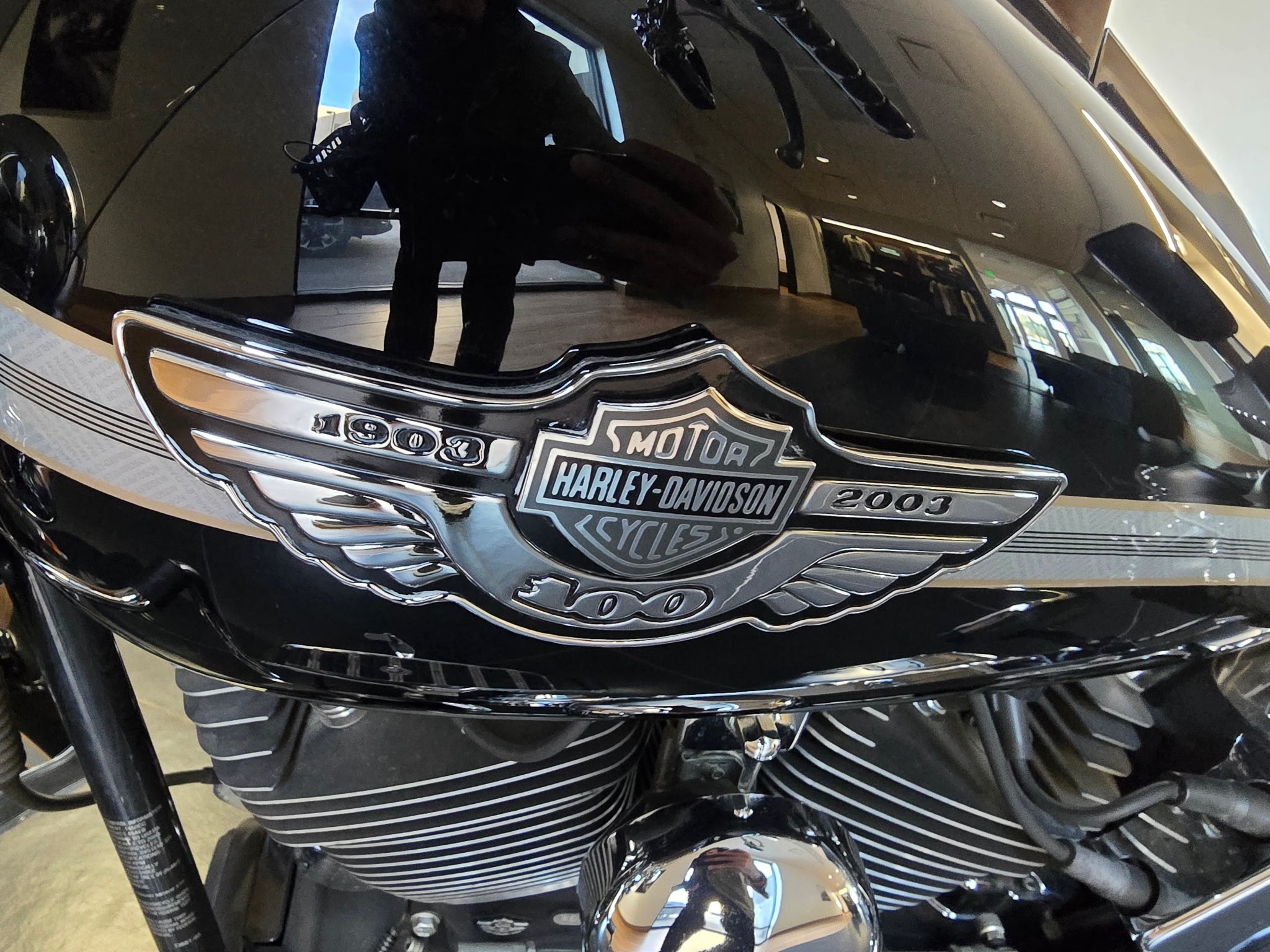 2003 Harley-Davidson FLSTCI Base