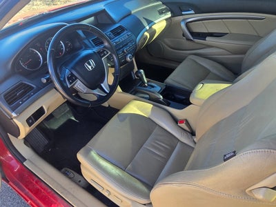 2010 Honda Accord EX-L