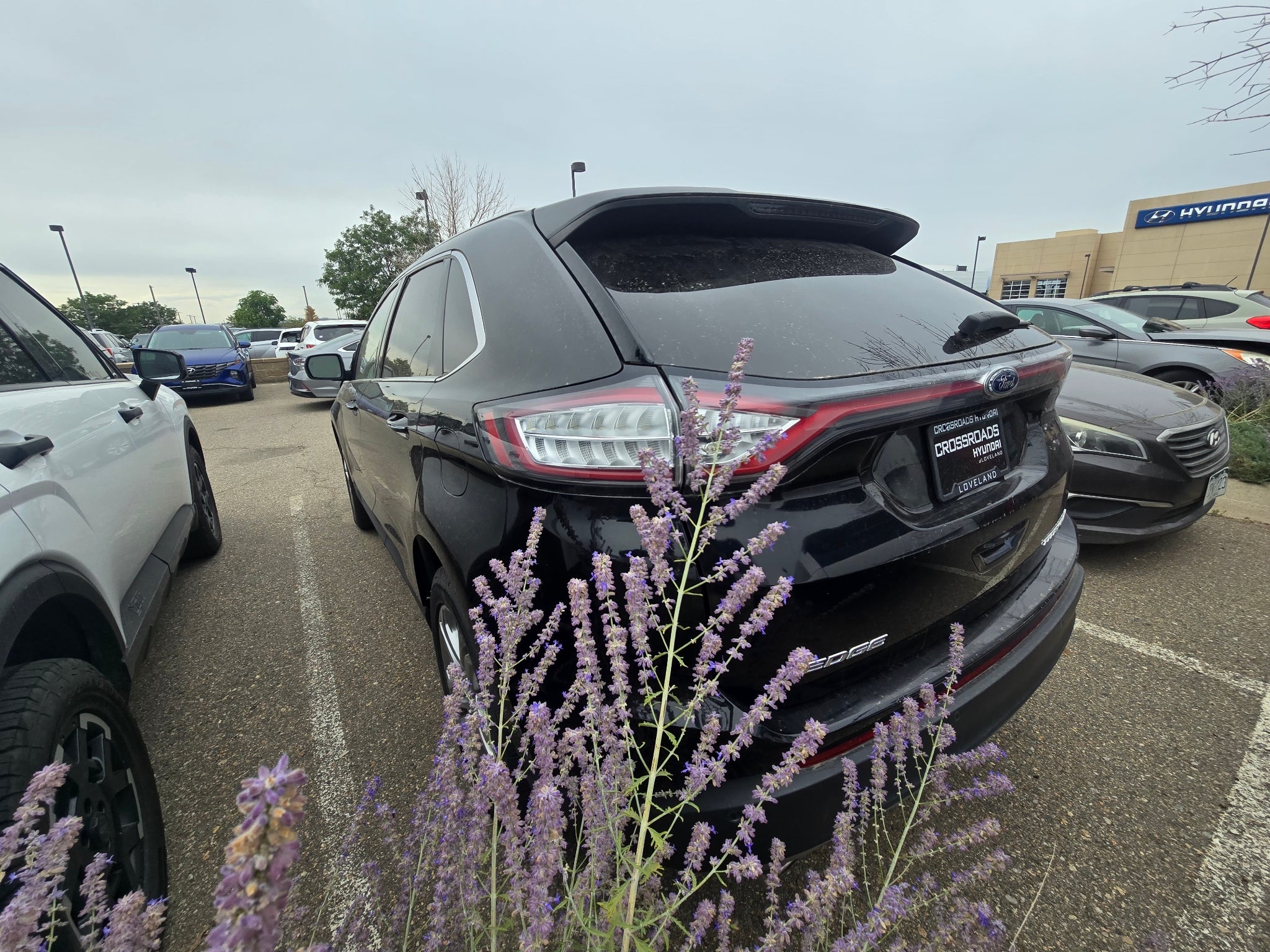 2016 Ford Edge Titanium