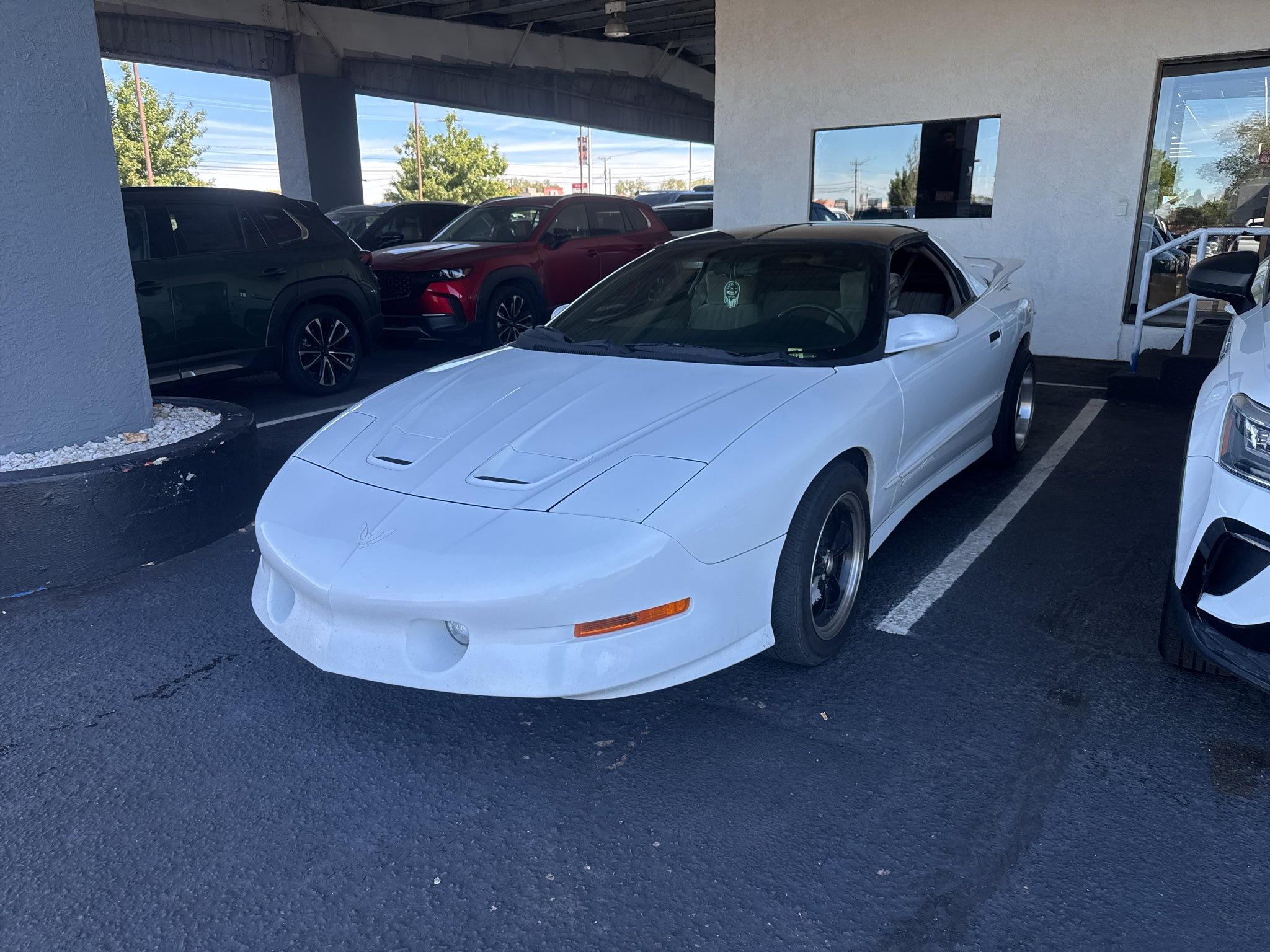 1997 Pontiac Firebird Trans Am