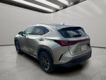 2022 Lexus NX 350 Premium