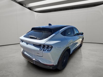 2023 Ford Mustang Mach-E California Route 1
