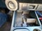 2025 Ford Maverick Tremor