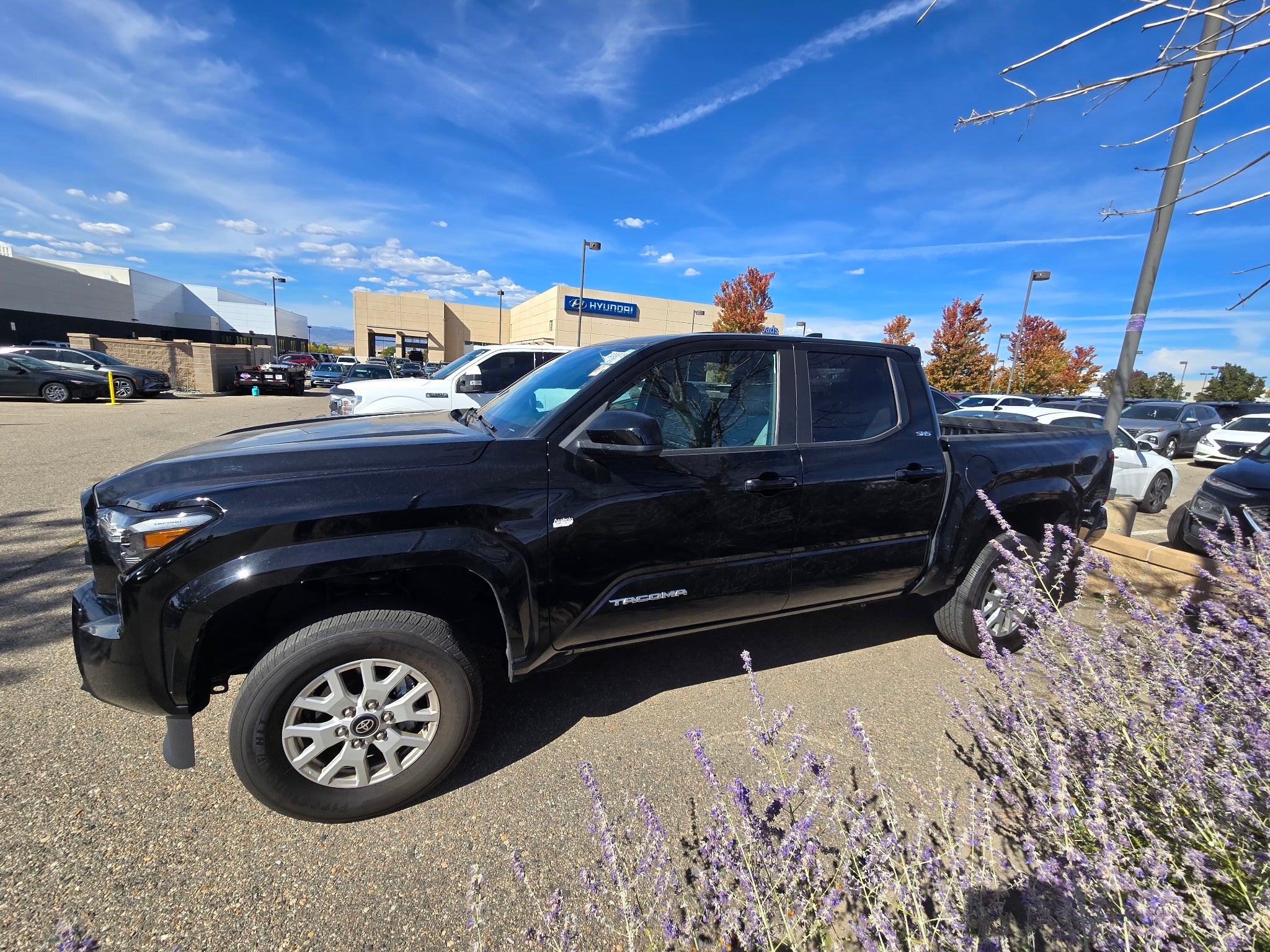2024 Toyota Tacoma SR5