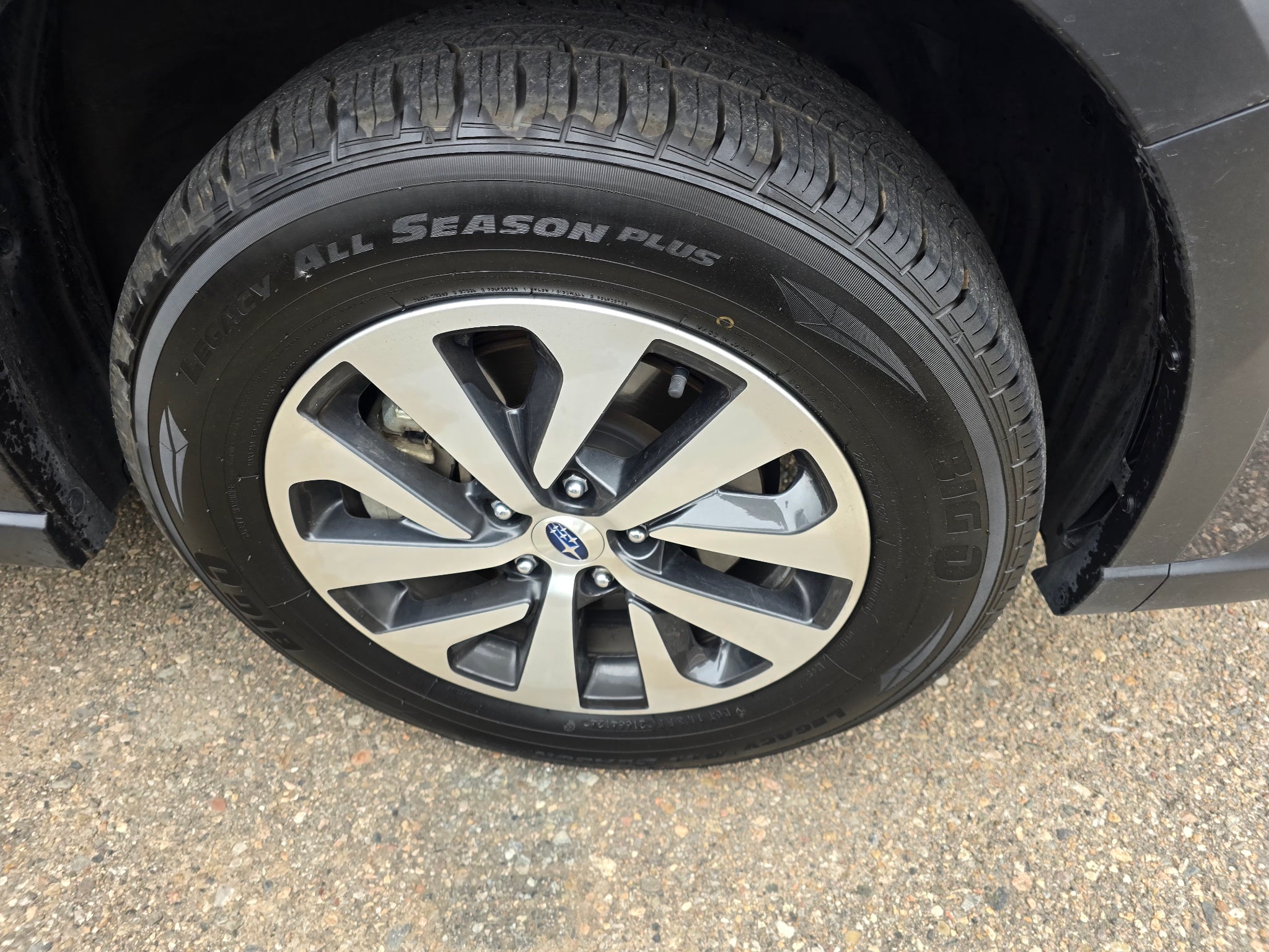 2024 Subaru Outback Premium