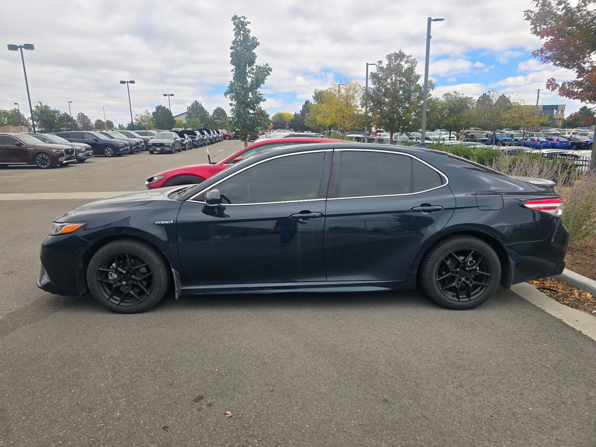 2020 Toyota Camry Hybrid SE