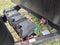 2021 Coleman 3055BS Base