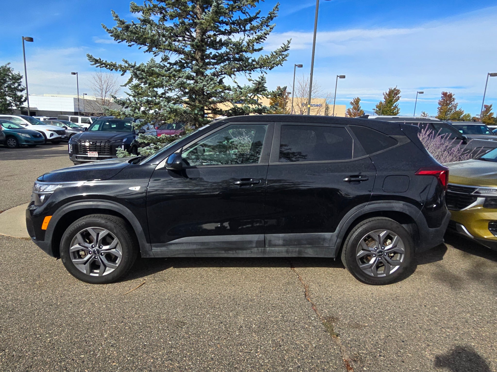 2024 Kia Seltos LX