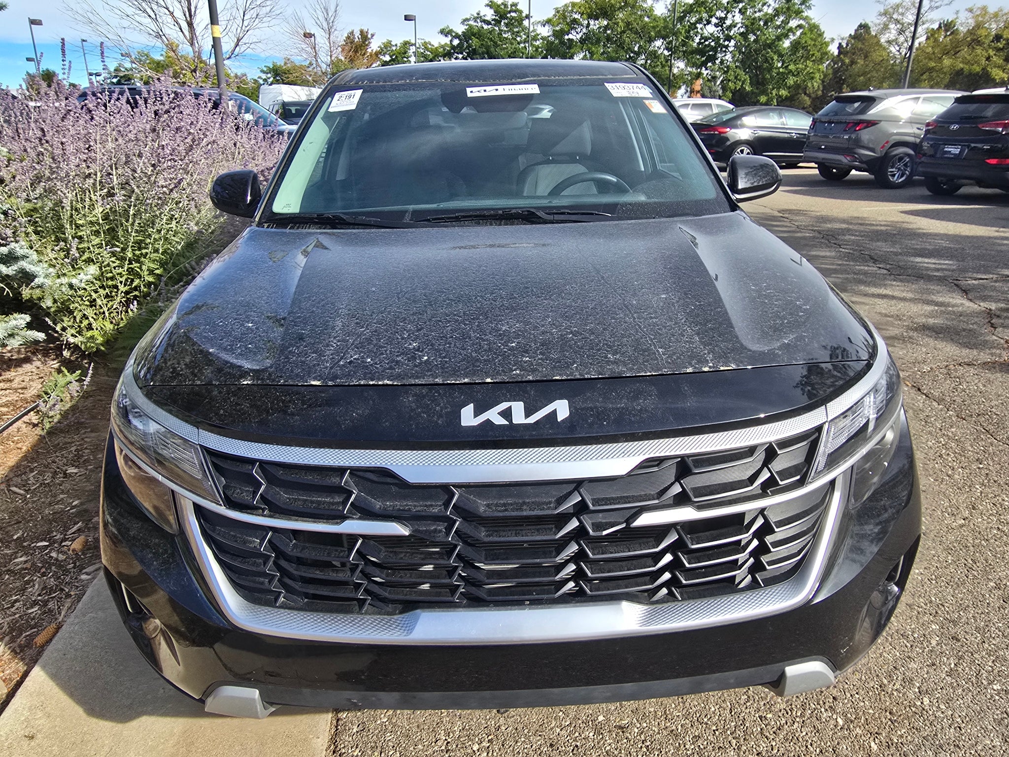 2024 Kia Seltos LX