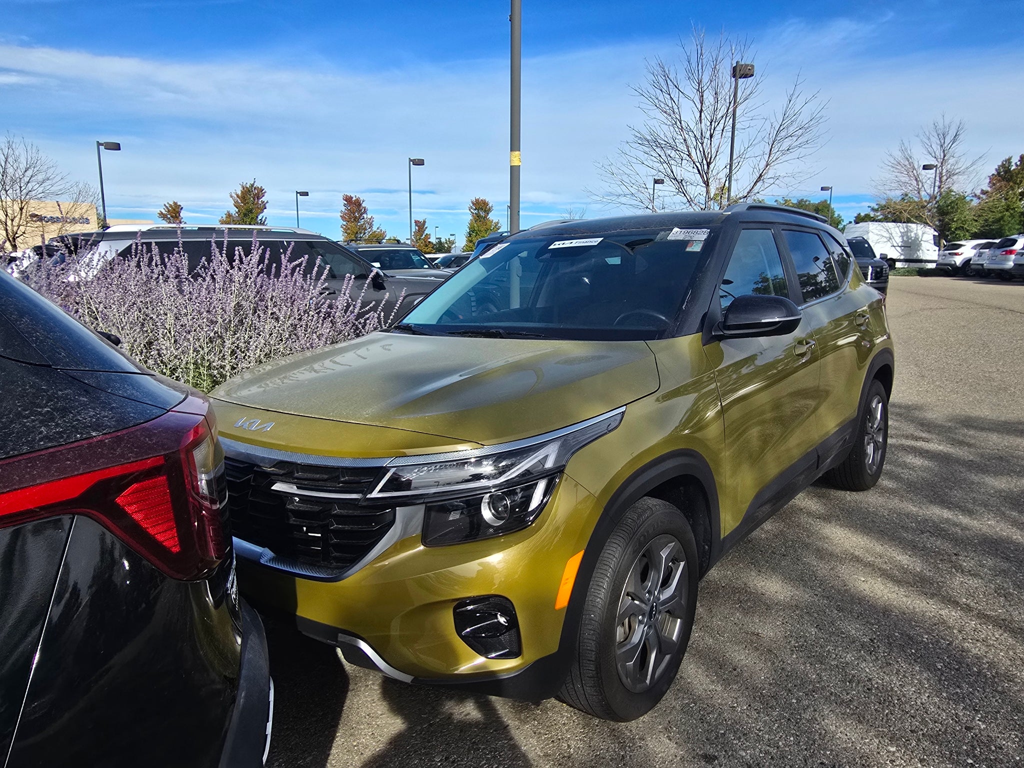 2024 Kia Seltos S