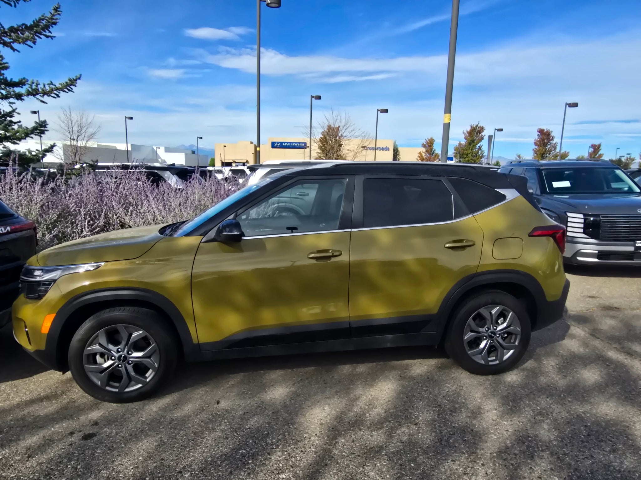 2024 Kia Seltos S