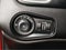 2021 Jeep Renegade 80th Anniversary